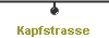  Kapfstrasse 