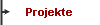  Projekte 