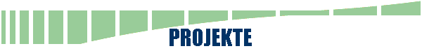  PROJEKTE 